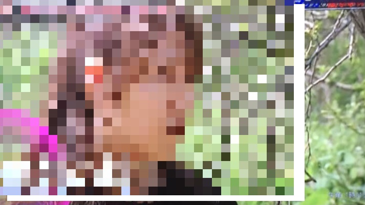 井上美紀のFacebook、兵庫県高砂市9歳女児窃盗被害